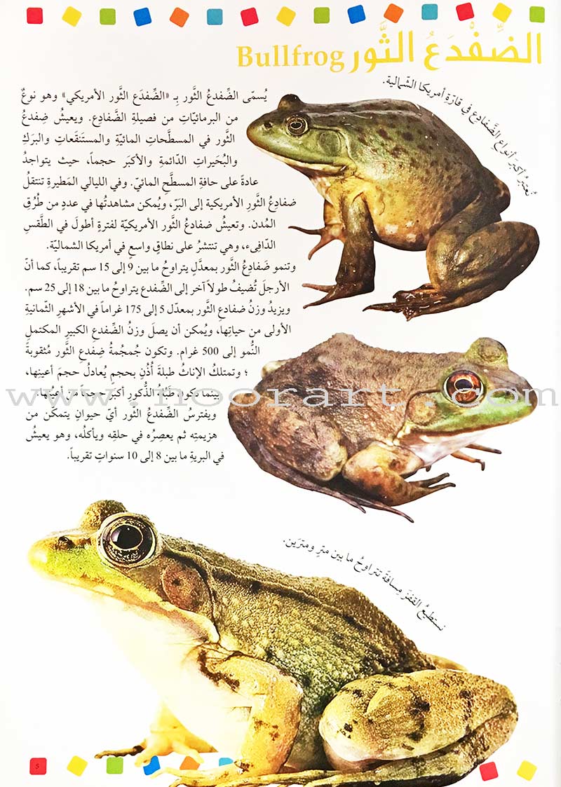 Encyclopedia of knowledge for young people (My giant book ,Set of 25 Books) موسوعة المعرفة للناشئة ,كتابي العملاق