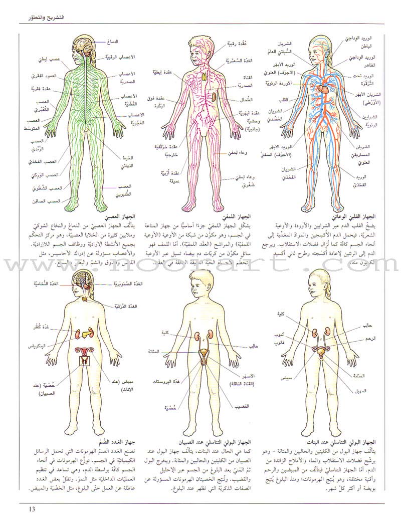 When your Child Gets Sick عندما يمرض طفلك