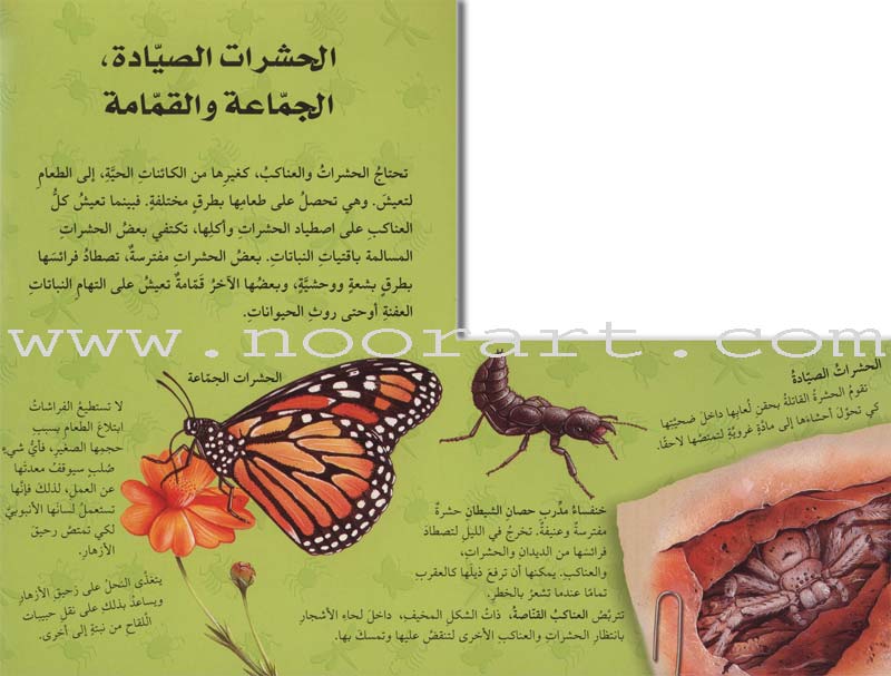 Discover with The Three-Dimensional Telescope (6 books) اكتشف بالمنظار الثلاثي الأبعاد