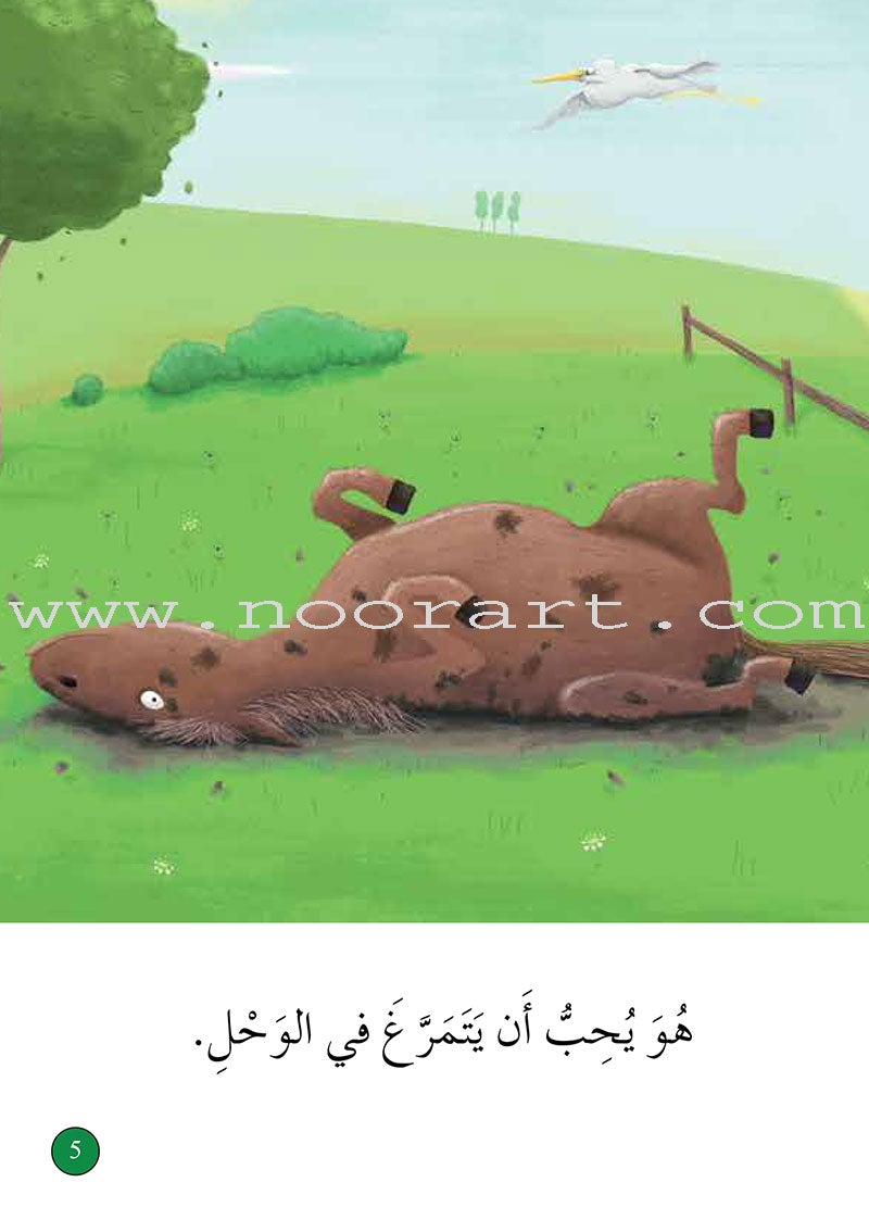 Graded Reading Series - Green Group: Level 5 (set of 5 Books) سلسلة القراءة المتدرجة مجموعة اللون الأخضر