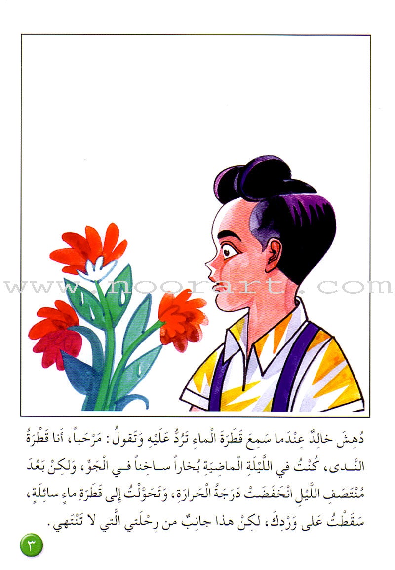 Arabic Graded Stories: Grade 3 (4 Books)
