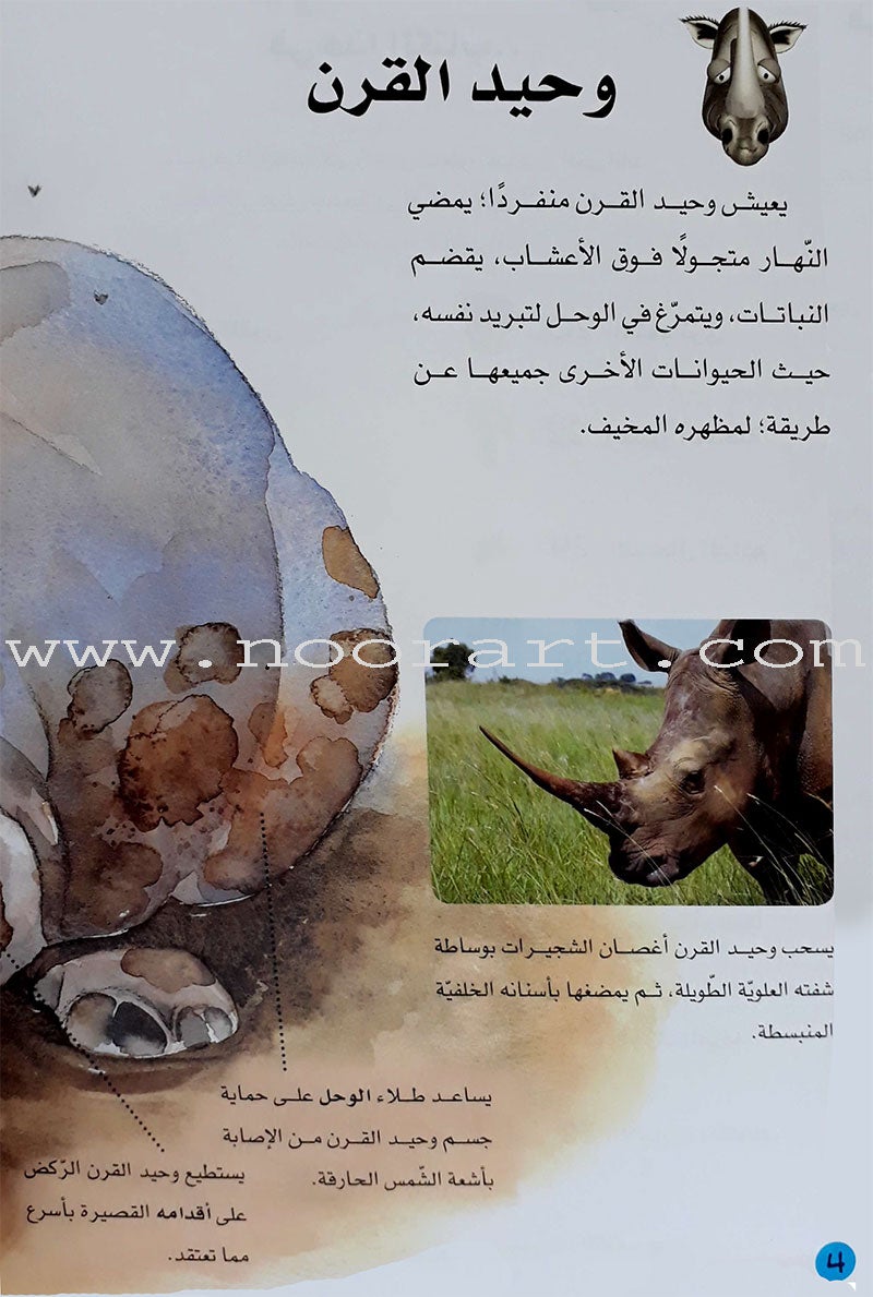 Learning Ladders (Set of 10 Books) سلالم التعلم