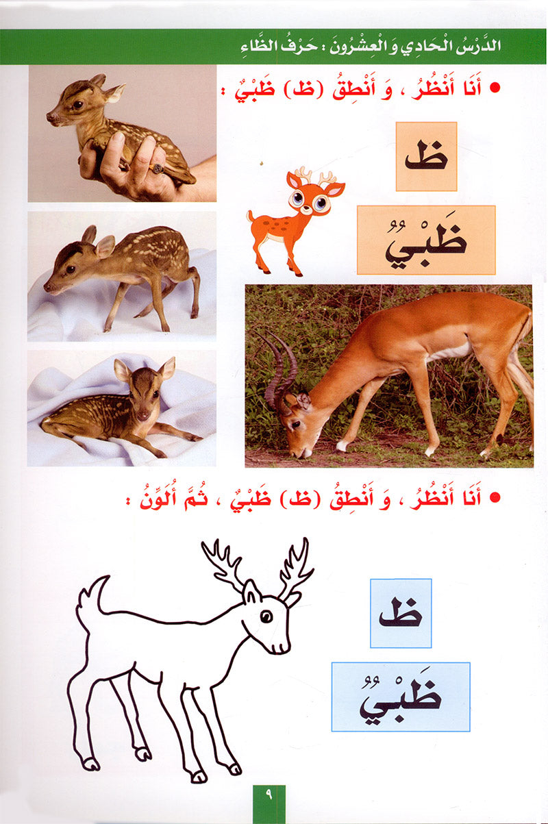 My Fun Letters: Level KG, Part 2 الحروف الممتعة (الجزء الثاني)