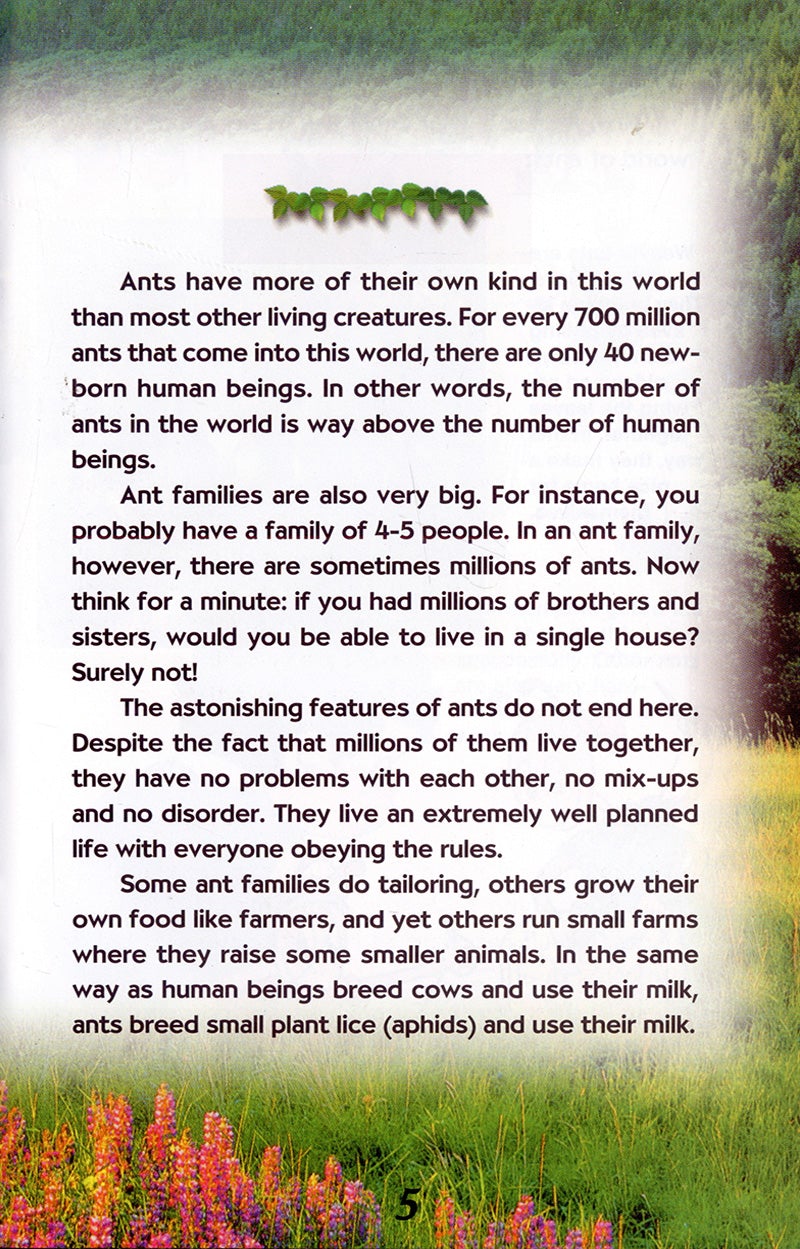 The Ants (Hardcover)