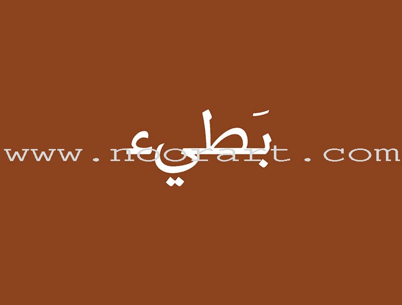 The Concepts Case: Level 1 (Activity Book, DVD, and Flash Cards) المفاهيم