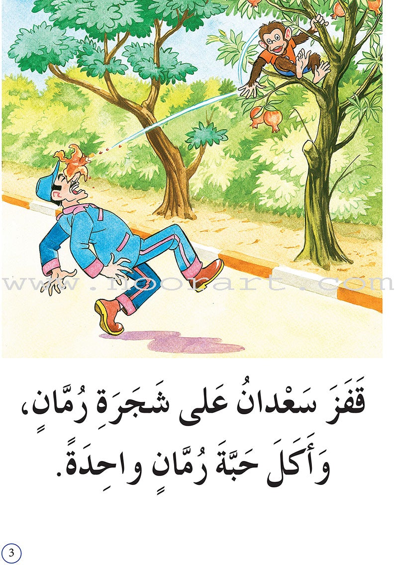 Reading Program in the Arabic Language: Level 2 (Set of 12 books) برنامج القراءة في اللغة العربية
