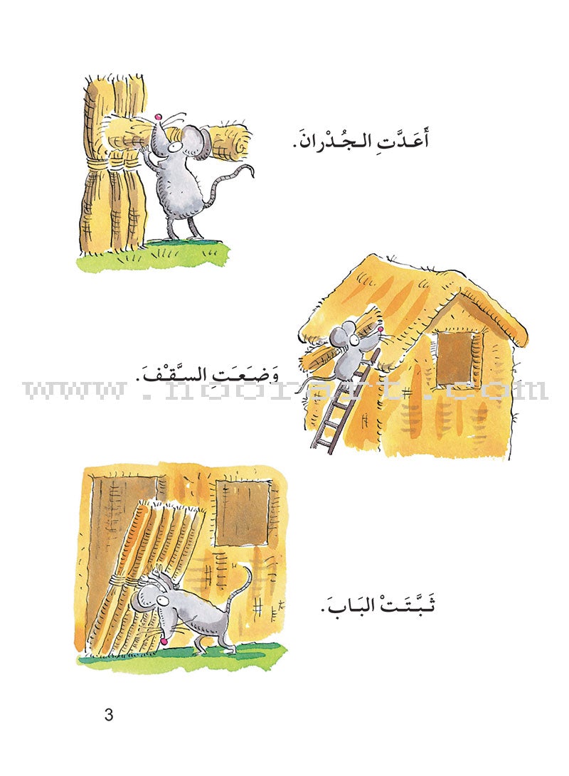 The Useful Reading Series: Level 5 (Set of 4 Books) سلسلة المطالعة المفيدة: المستوى الخامس