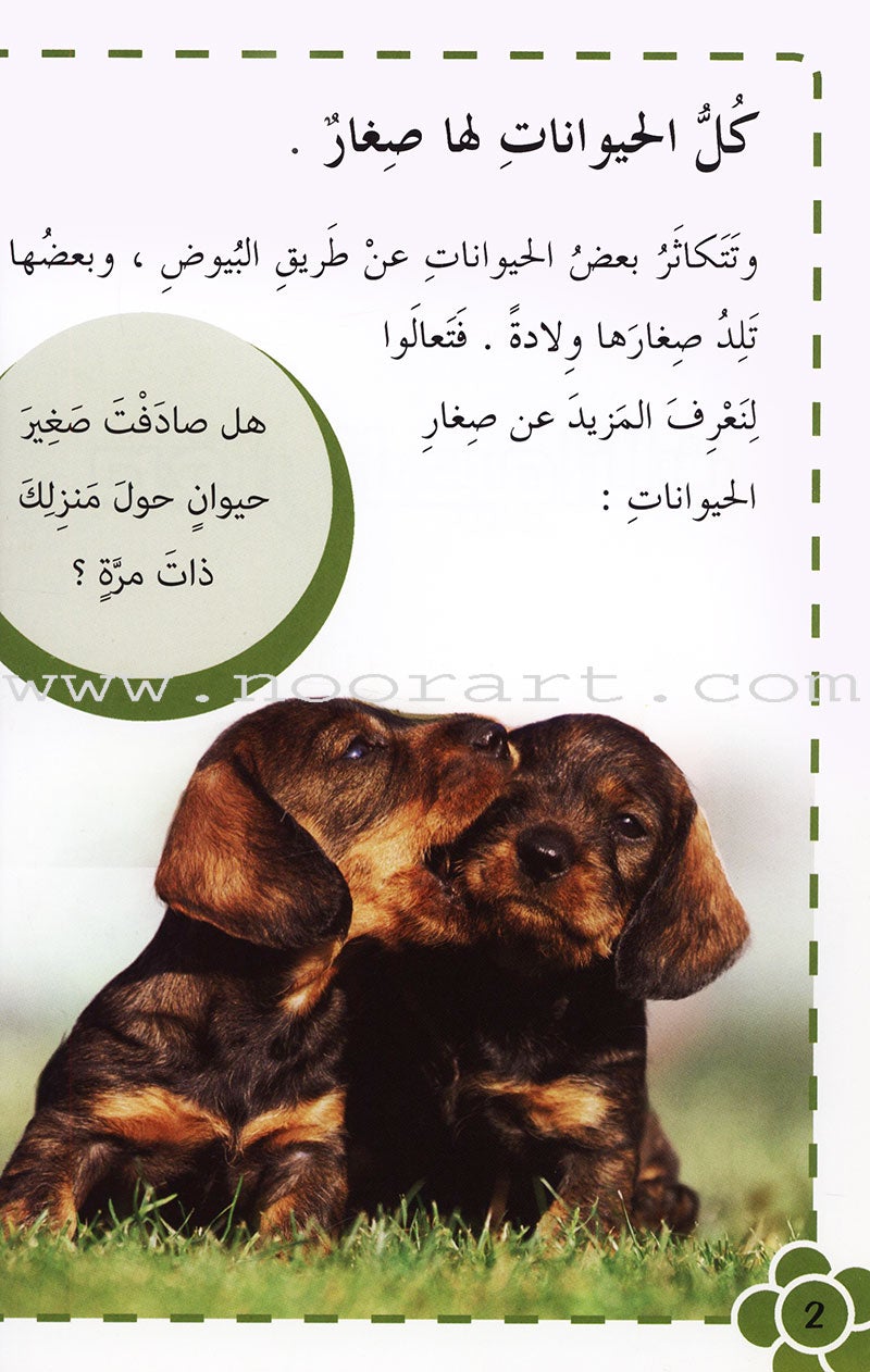 Useful Reading Series - Animals' Babies - Level A1 القراءة المفيدة - صغار الحيوانات