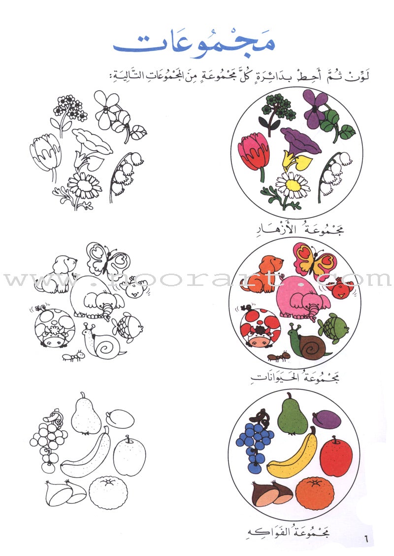 My Favorite Math الحساب المحبوب