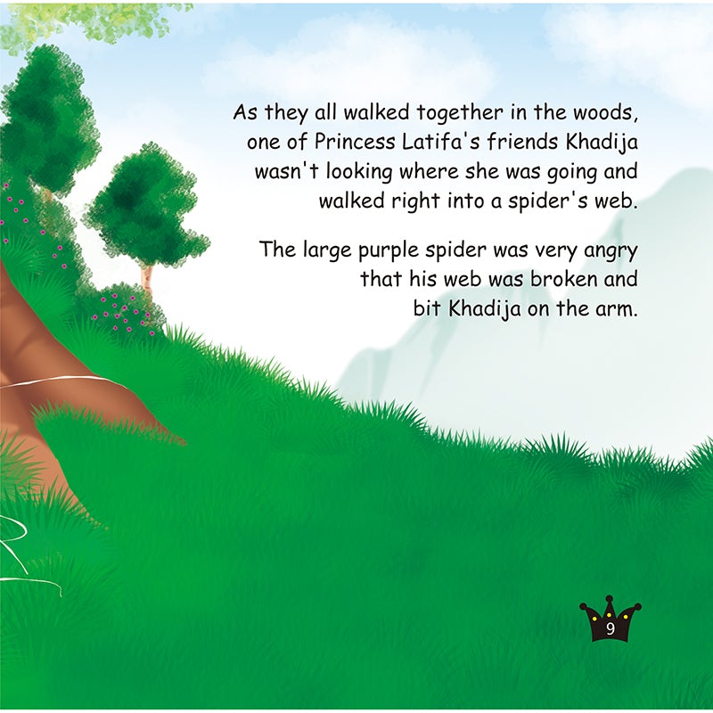 The 99 Names of Allah - Princess Series: Princess Latifa and the Angry Spider