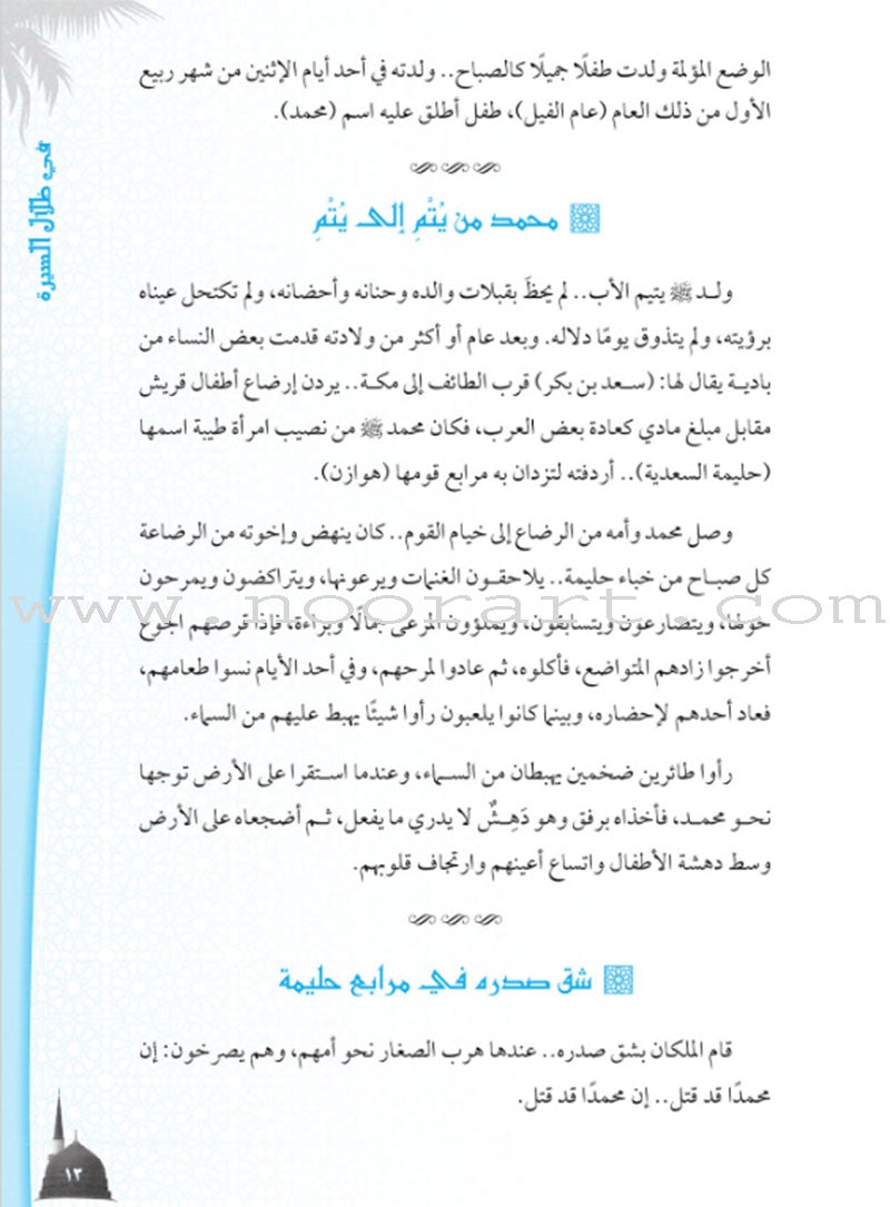 In the shadows of the Prophetic Biography في ظلال السيرة النبوية