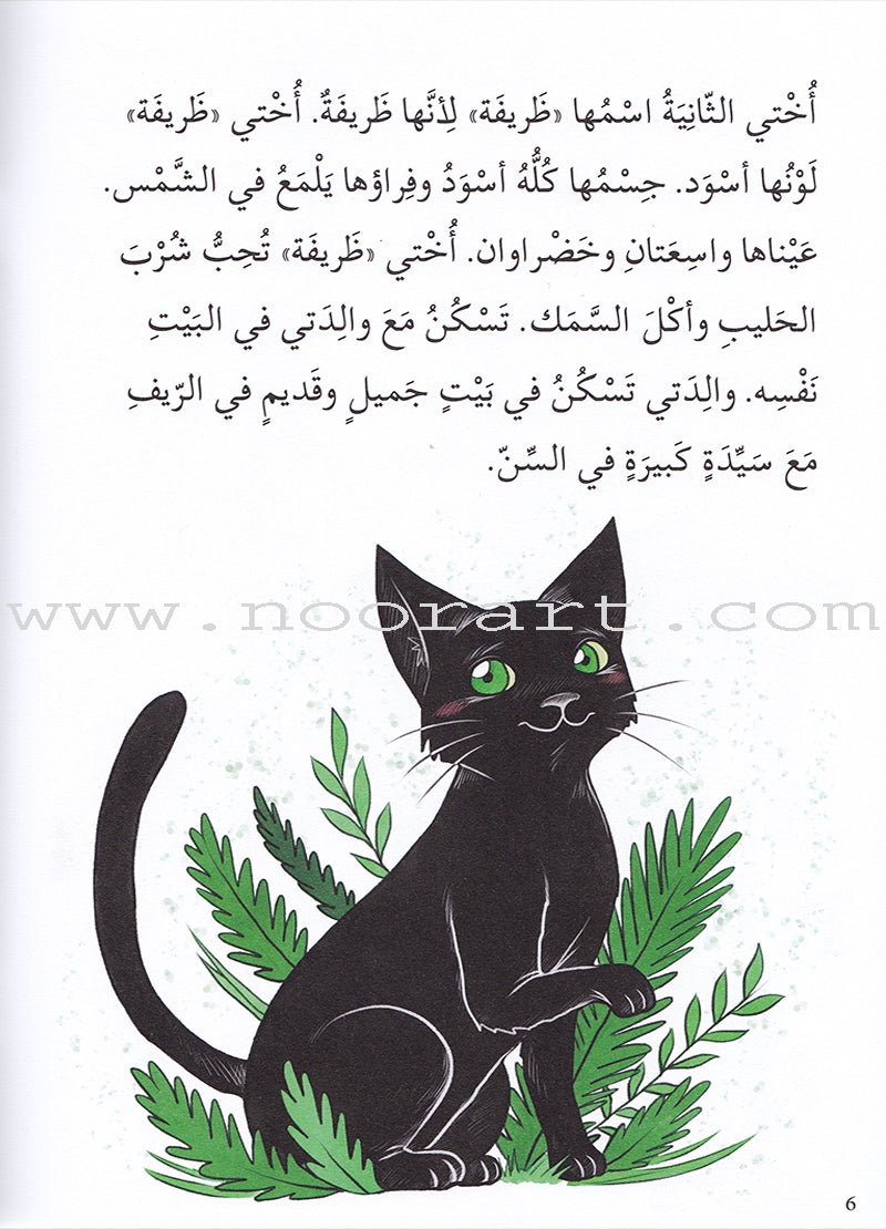 Reading We Advance Series - Intermediate Level