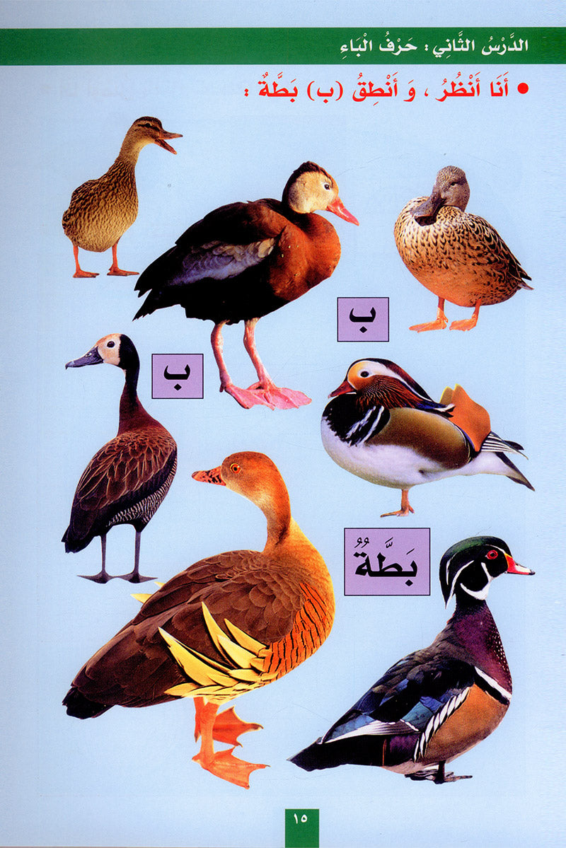 My Fun Letters: Level KG, Part 1 الحروف الممتعة (الجزء الأول)