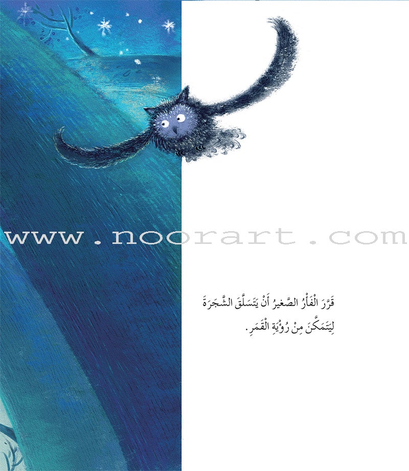 Bedtime Stories (set of 5 Books) قصص قبل النوم