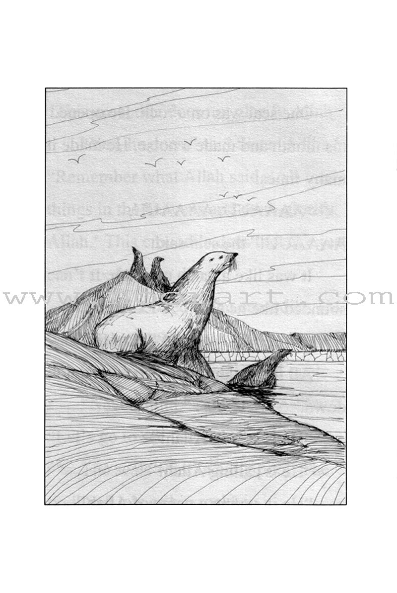 Amana Reading Series: Grade 1 (6 Books)