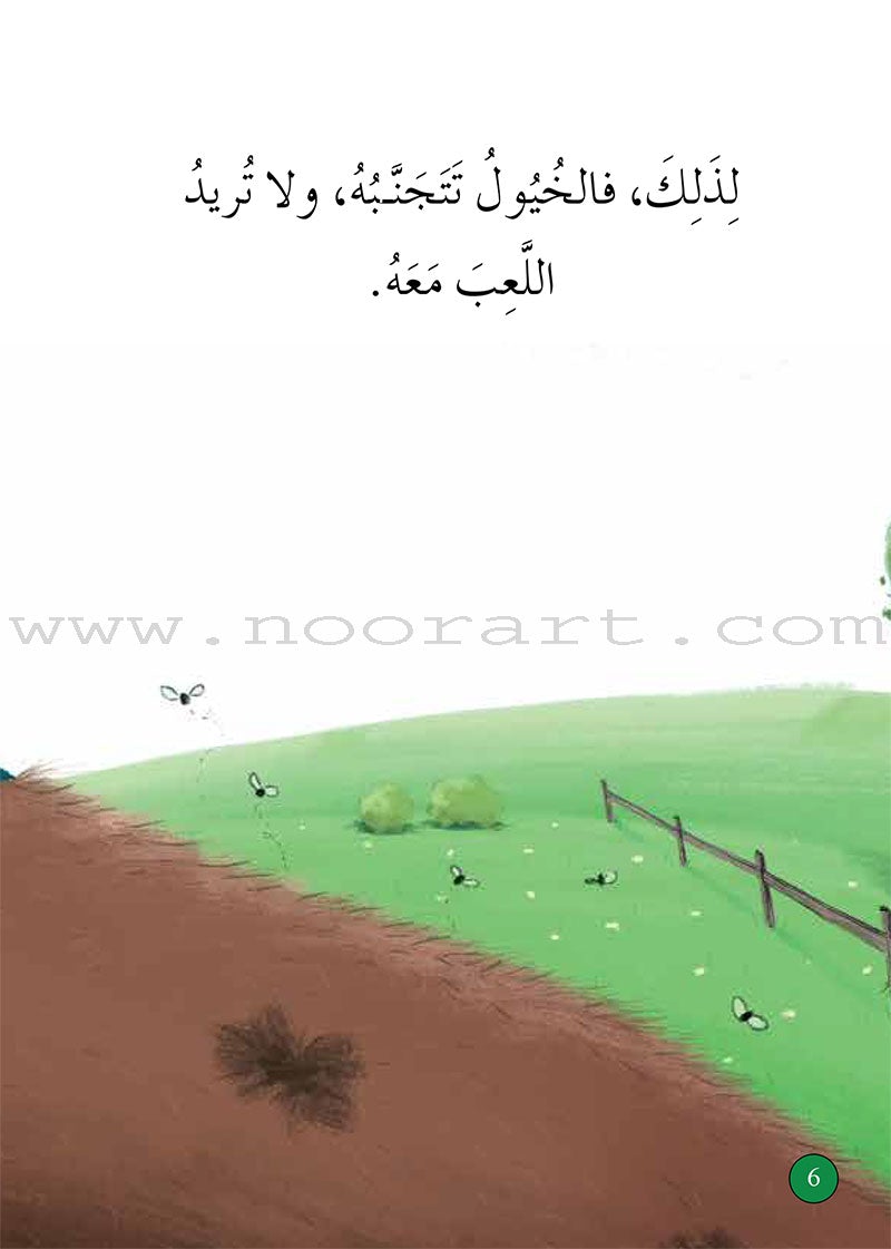 Graded Reading Series - Green Group: Level 5 (set of 5 Books) سلسلة القراءة المتدرجة مجموعة اللون الأخضر