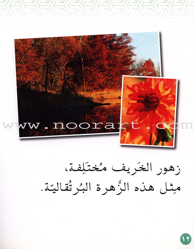 Small Wonders Level 1: Flowers