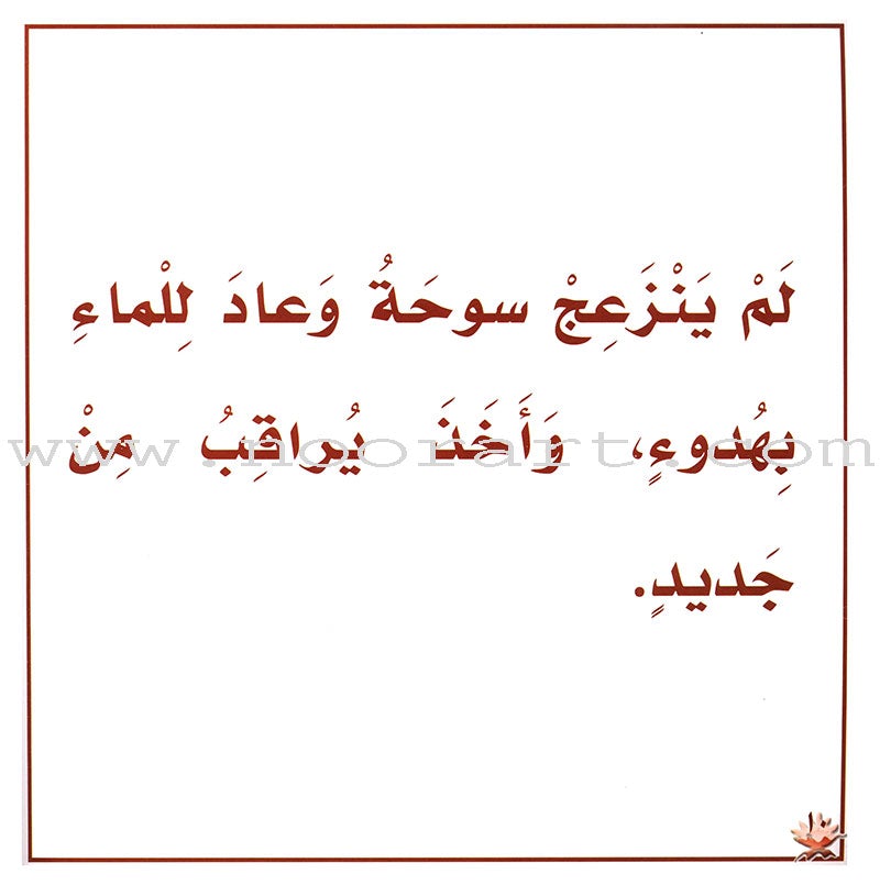 The Reading and Science Club: Level 2 (8 Books)