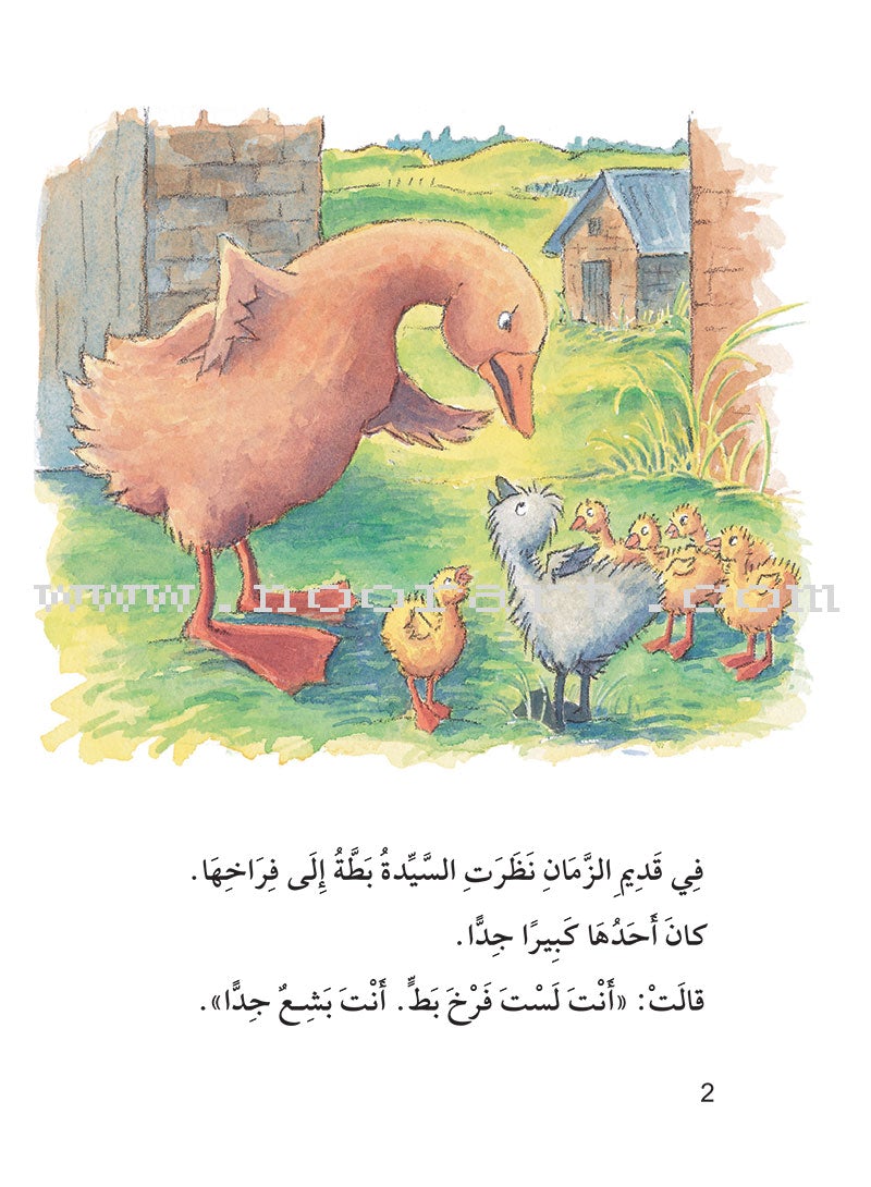 The Useful Reading Series: Level 5 (Set of 4 Books) سلسلة المطالعة المفيدة: المستوى الخامس