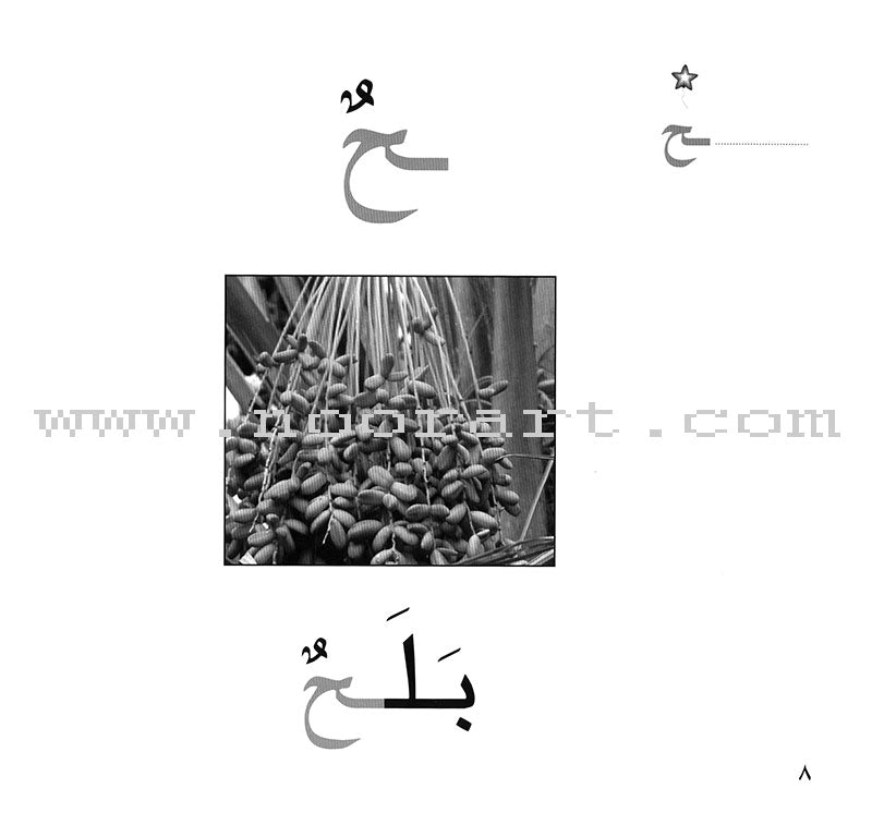 Ladder Reading Stories Box (28 Alphabets) سلسلة سلم القراءة داخل علبة