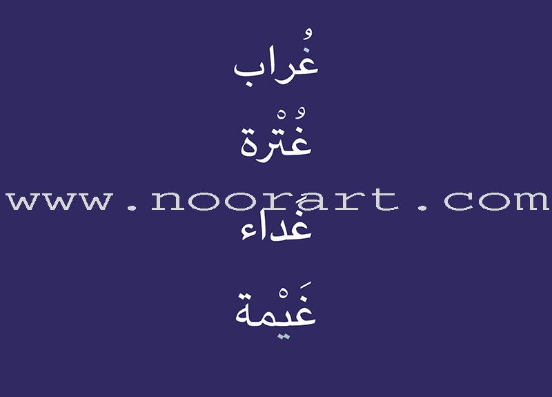 Alphabet Family Case: Part 2 (Activity Book , DVD, and 50 Flash Cards) عائلة الحروف