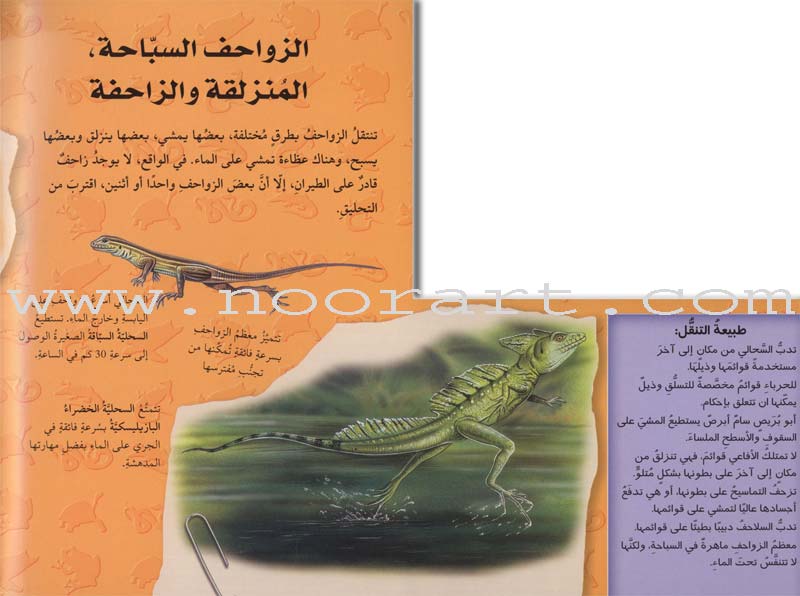 Discover with The Three-Dimensional Telescope (6 books) اكتشف بالمنظار الثلاثي الأبعاد