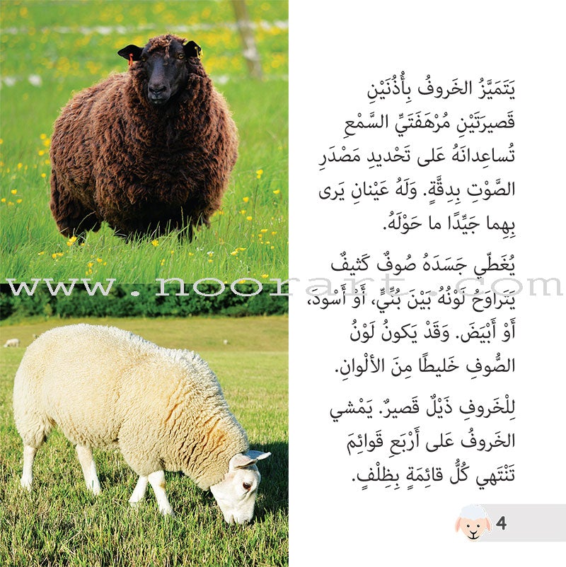 Let's Read and Discover Series (set of 5 books) سلسلة هيا نقرأ ونكتشف