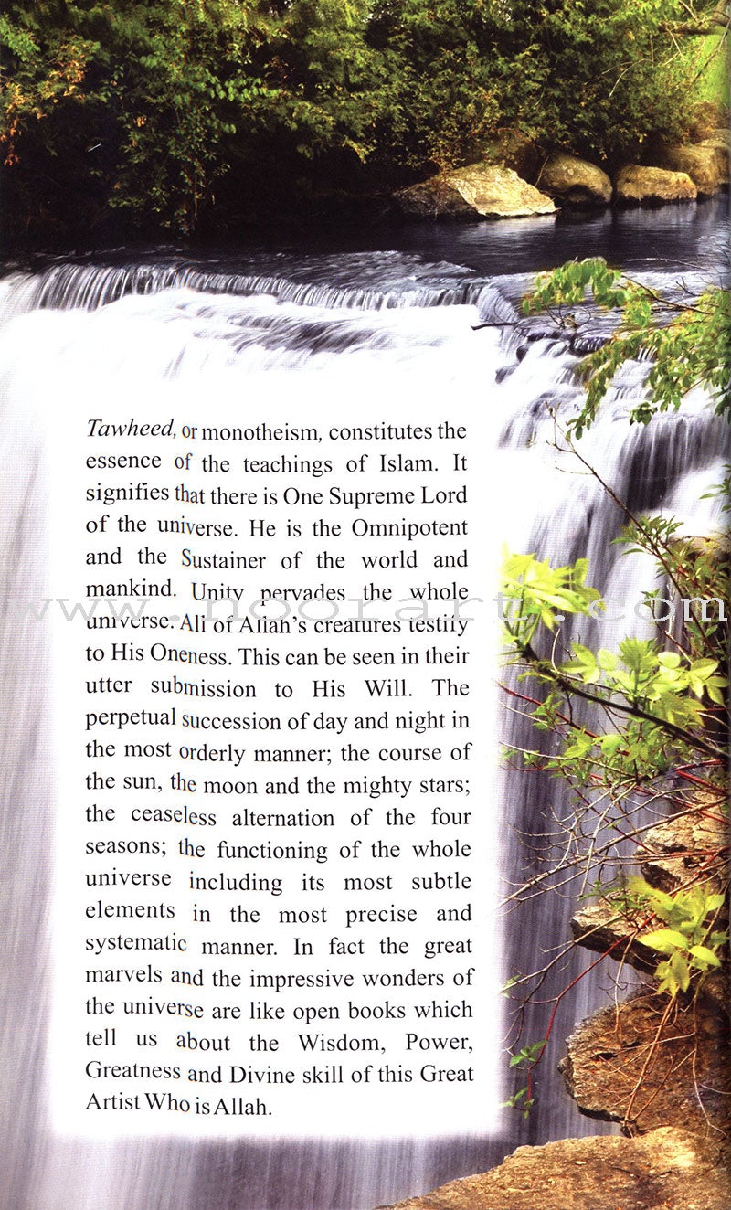 A Glimpse at the Beauty of Islam