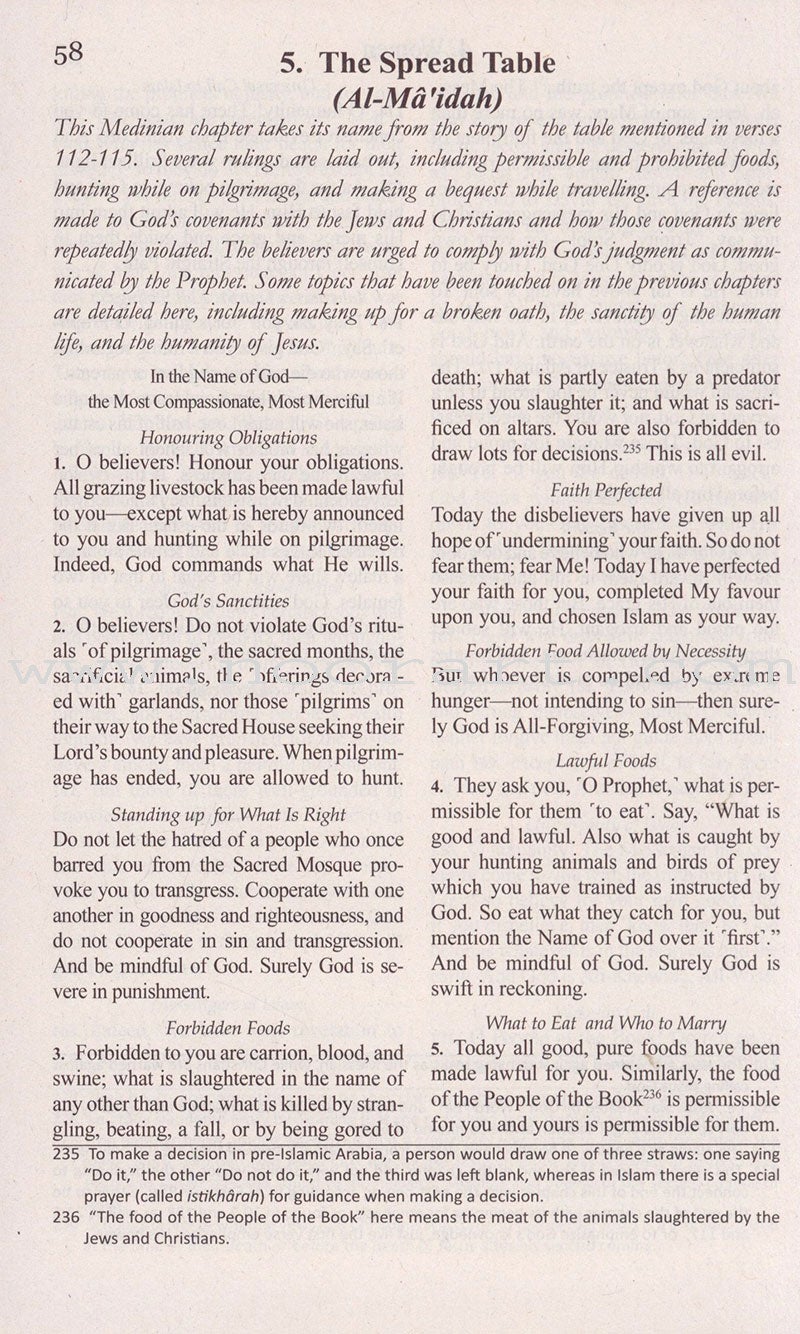 The Clear Quran with Thematic English Translation - Paperback (8.4" x 5.8") |10 copies bulk