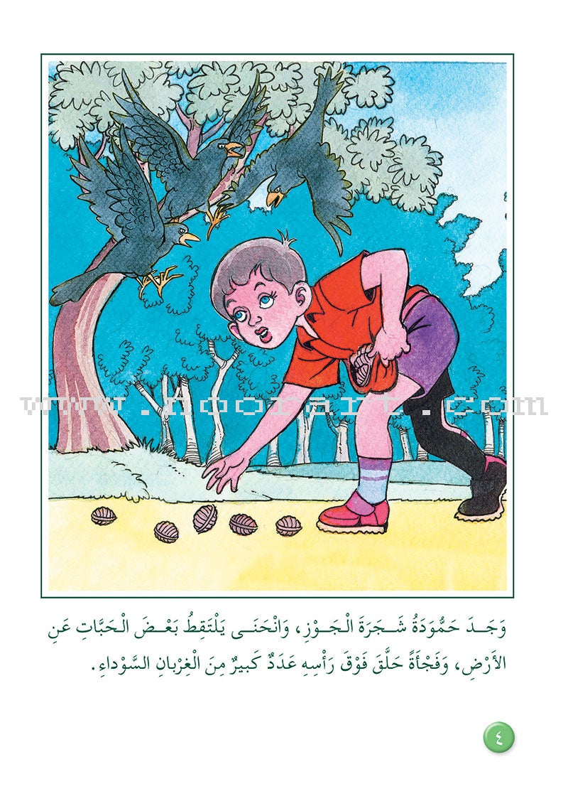 Arabic Graded Stories: Grade 3 (4 Books)