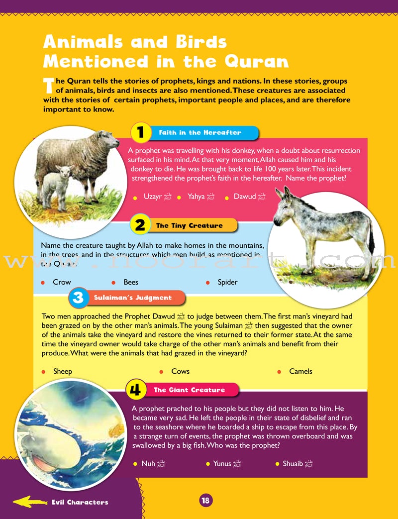 Awesome Quran Questions and Answers (Paperback)