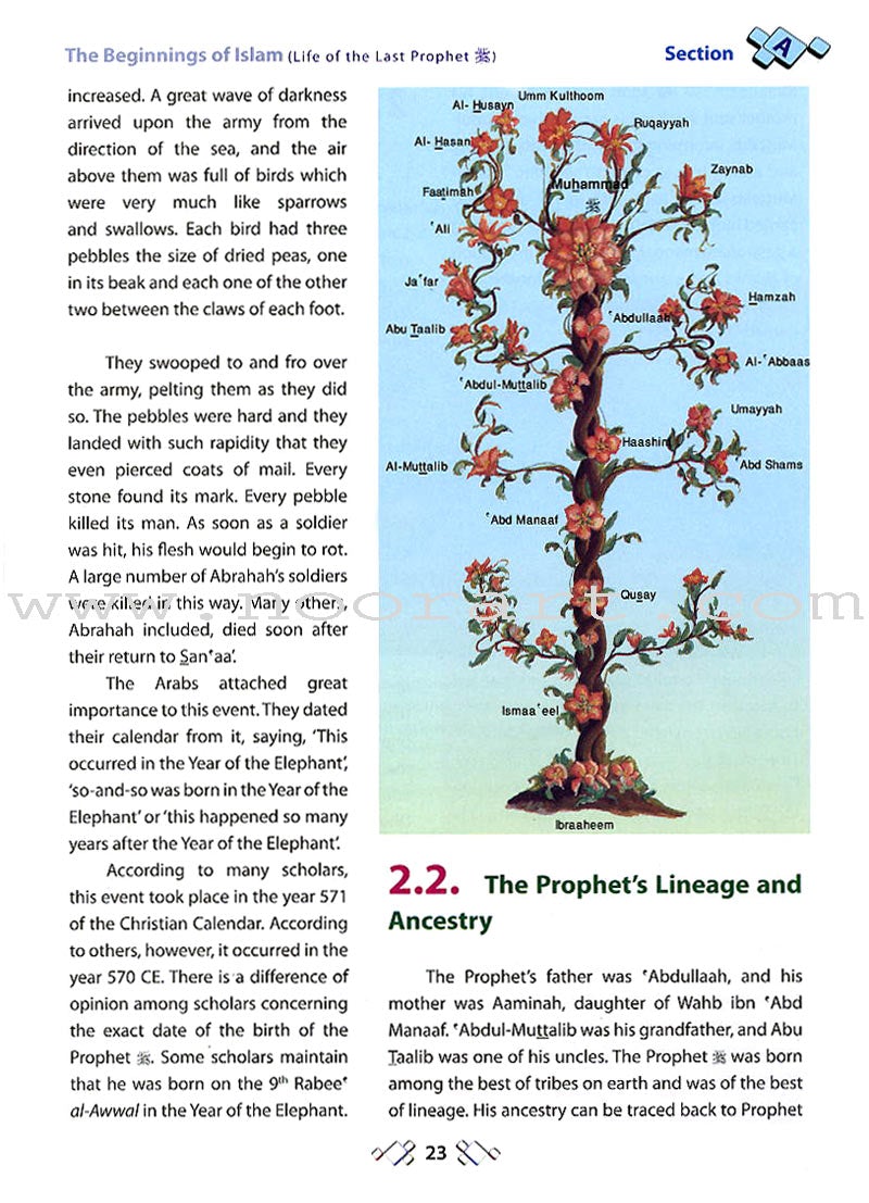 Islamic Studies: Grade 12 (A Core Text for Advanced Subsidiary & Advanced Level Islamic Studies (ASIS & AIS))
