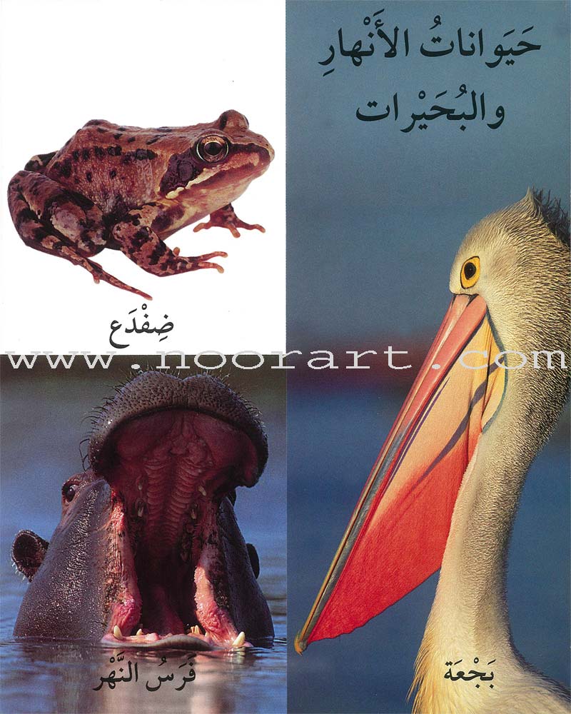 First 100 Illustrated Words About Animals أول 100 كلمة مصورة ومسلية عن الحيوانات