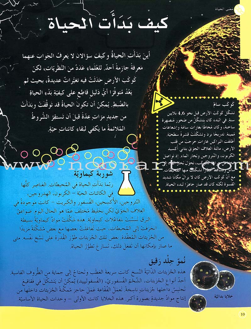 That is Life هذه هي الحياة