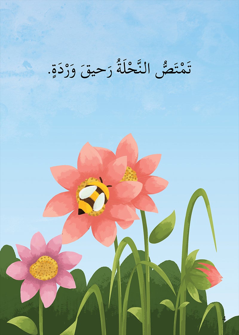 Science Series (set of 4 books) سلسلة العلوم