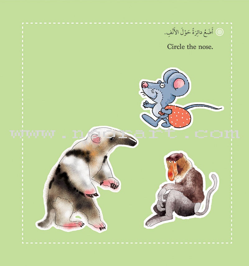 My Small World Series: Level 1 (4 books) سلسلة عالمي الصغير