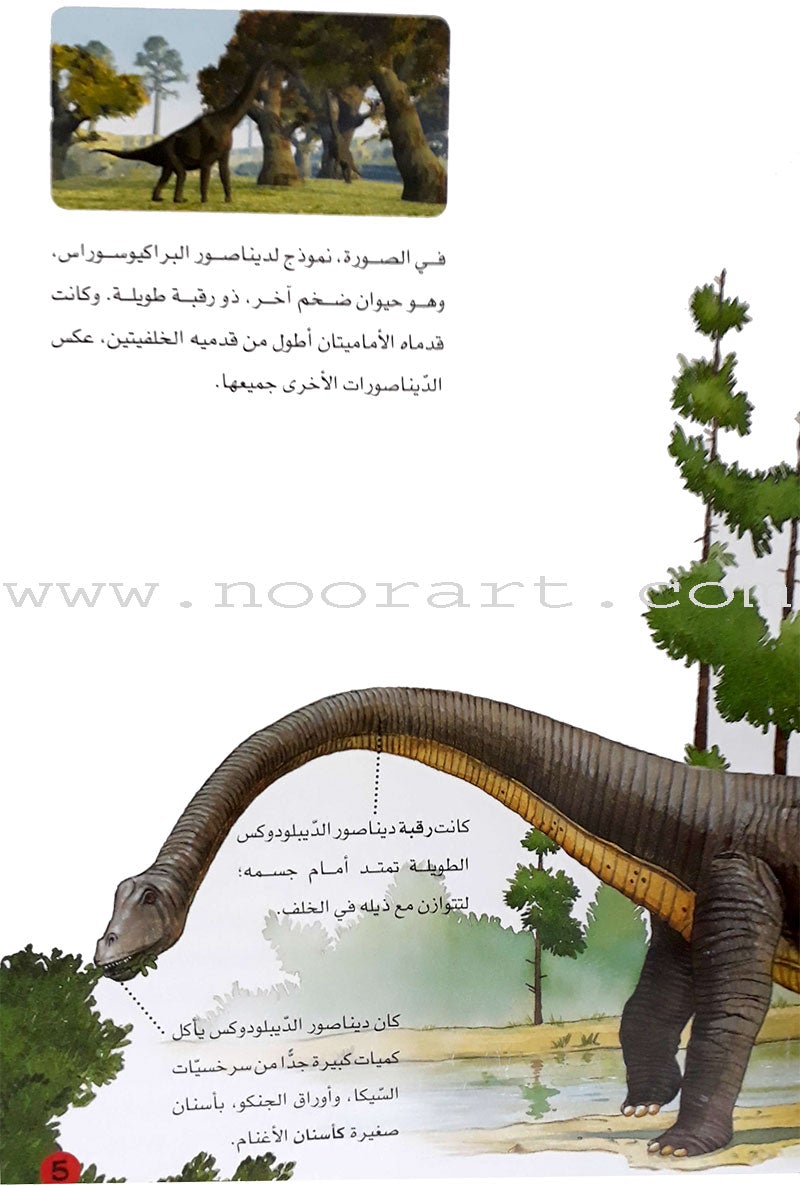 Learning Ladders (Set of 10 Books) سلالم التعلم