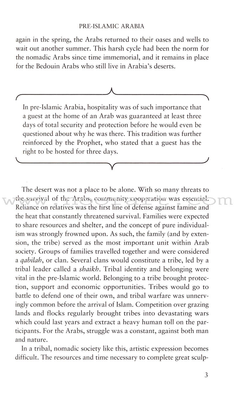 Lost Islamic History: Reclaiming Muslim Civilisation from the Past