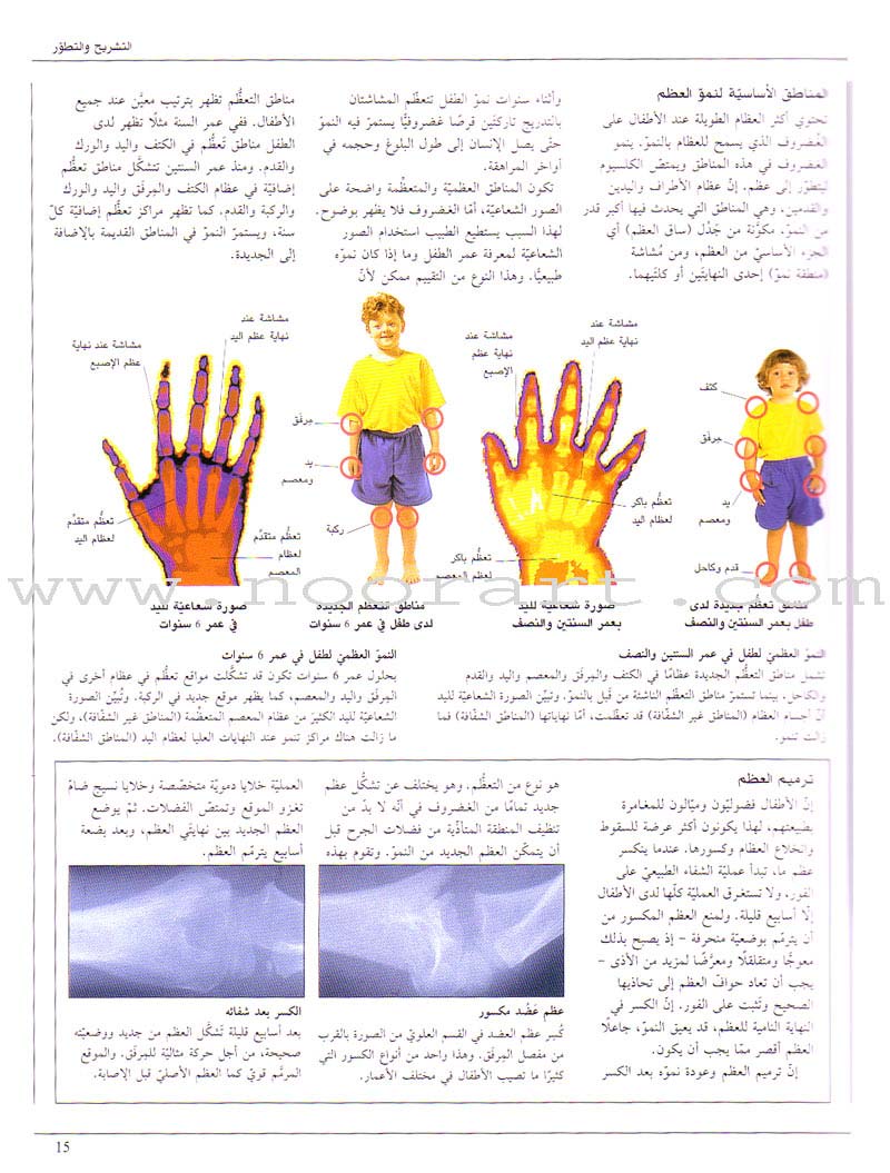 When your Child Gets Sick عندما يمرض طفلك