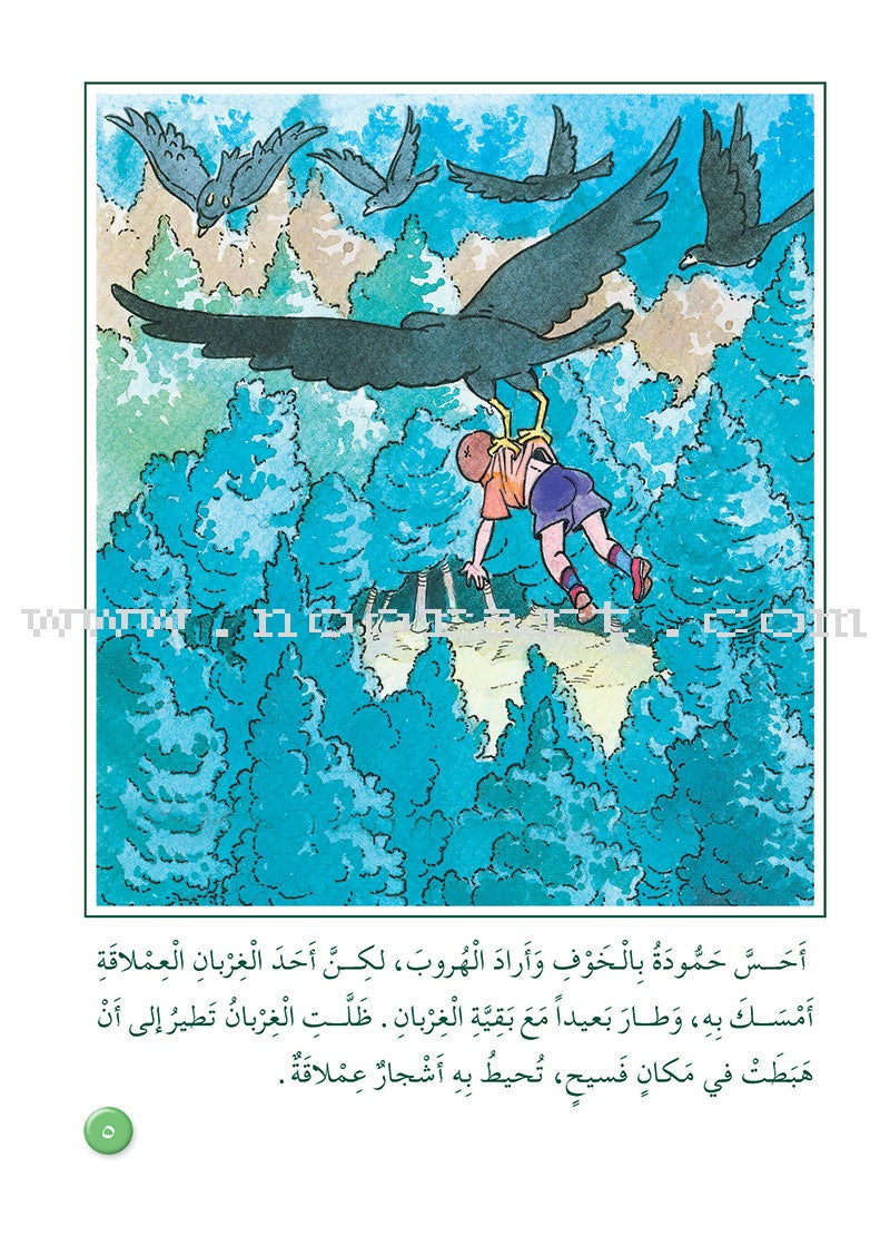 Arabic Graded Stories: Grade 3 (4 Books)