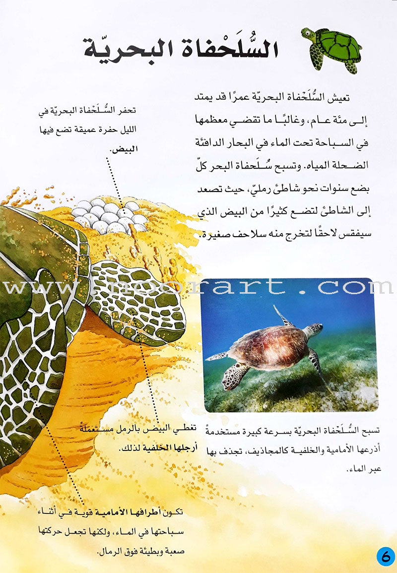 Learning Ladders (Set of 10 Books) سلالم التعلم