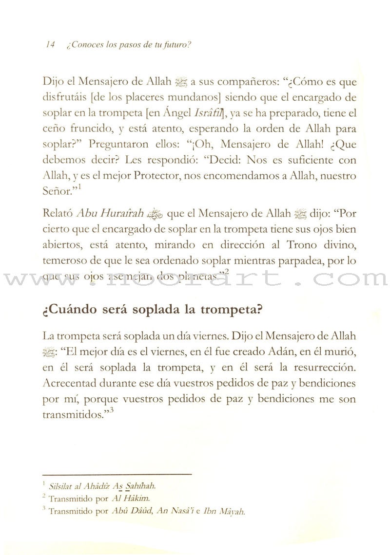 Conoces Los Pasos De Tu Futuro? -Steps to the Hereafter