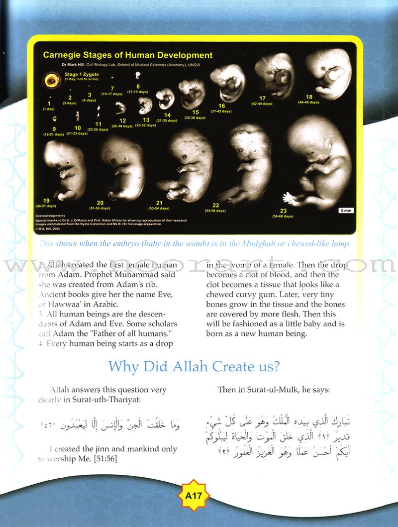 Learning Islam Textbook: Level 1 (6th Grade)