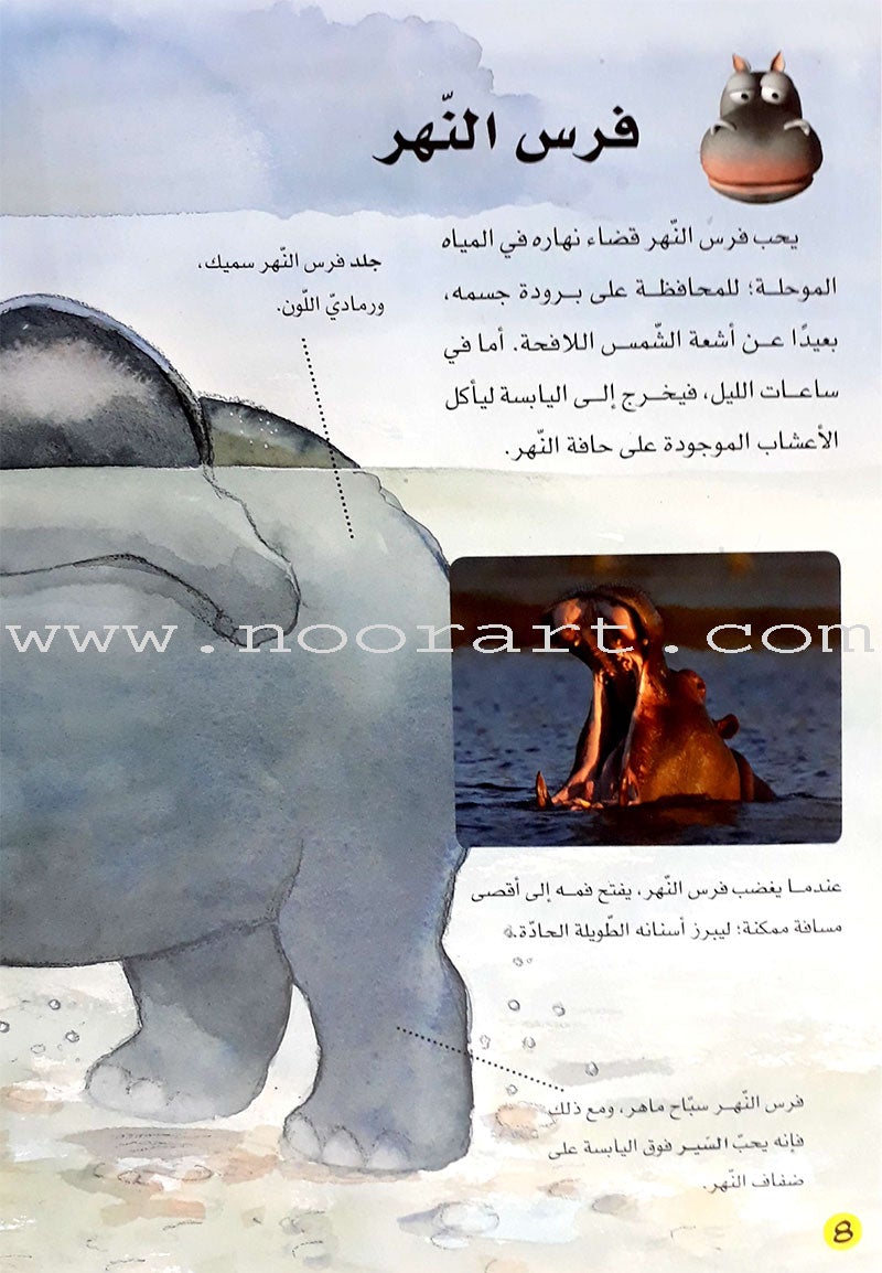 Learning Ladders (Set of 10 Books) سلالم التعلم