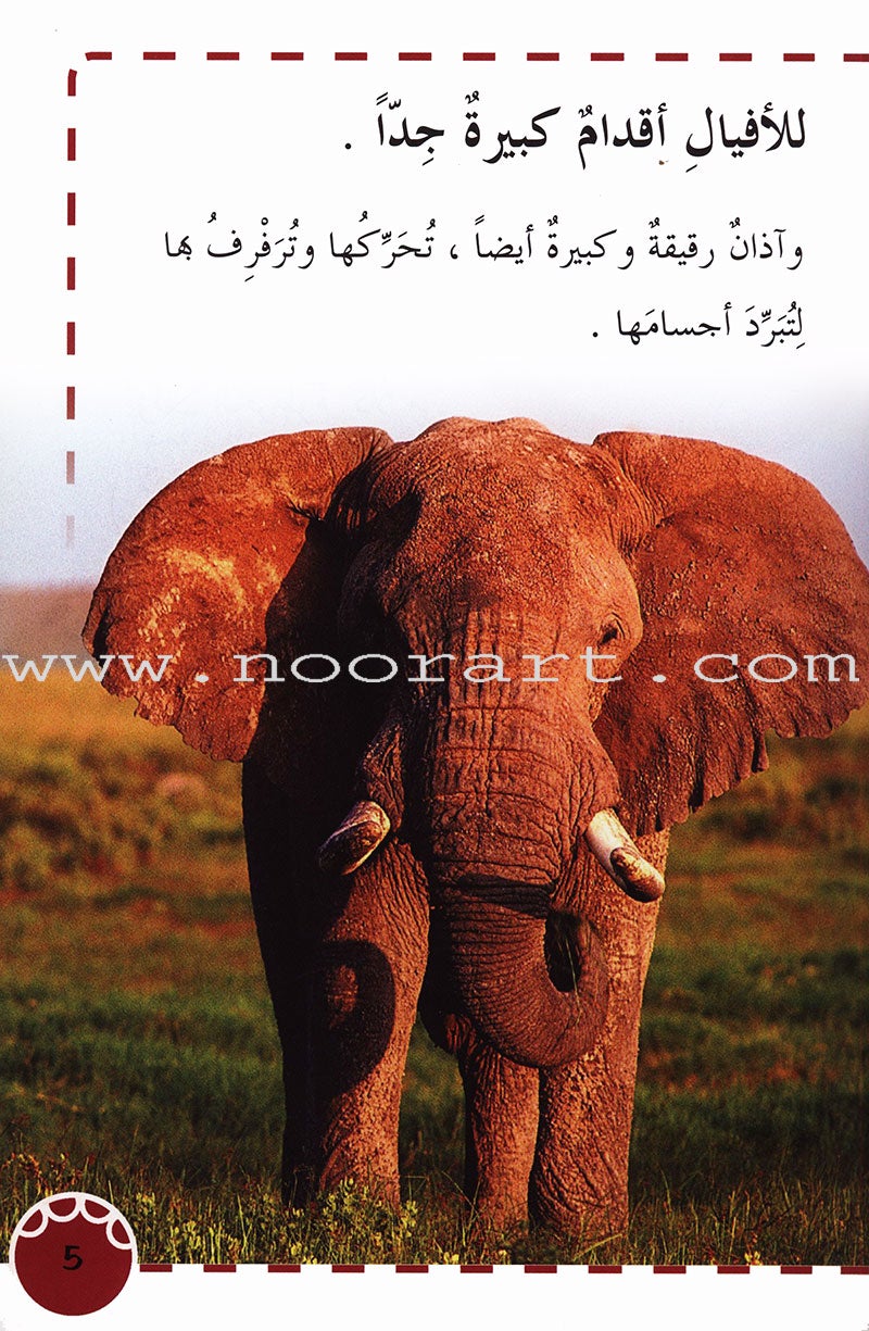 Useful Reading Series - Elephants - Level A2 القراءة المفيدة - الفيلة