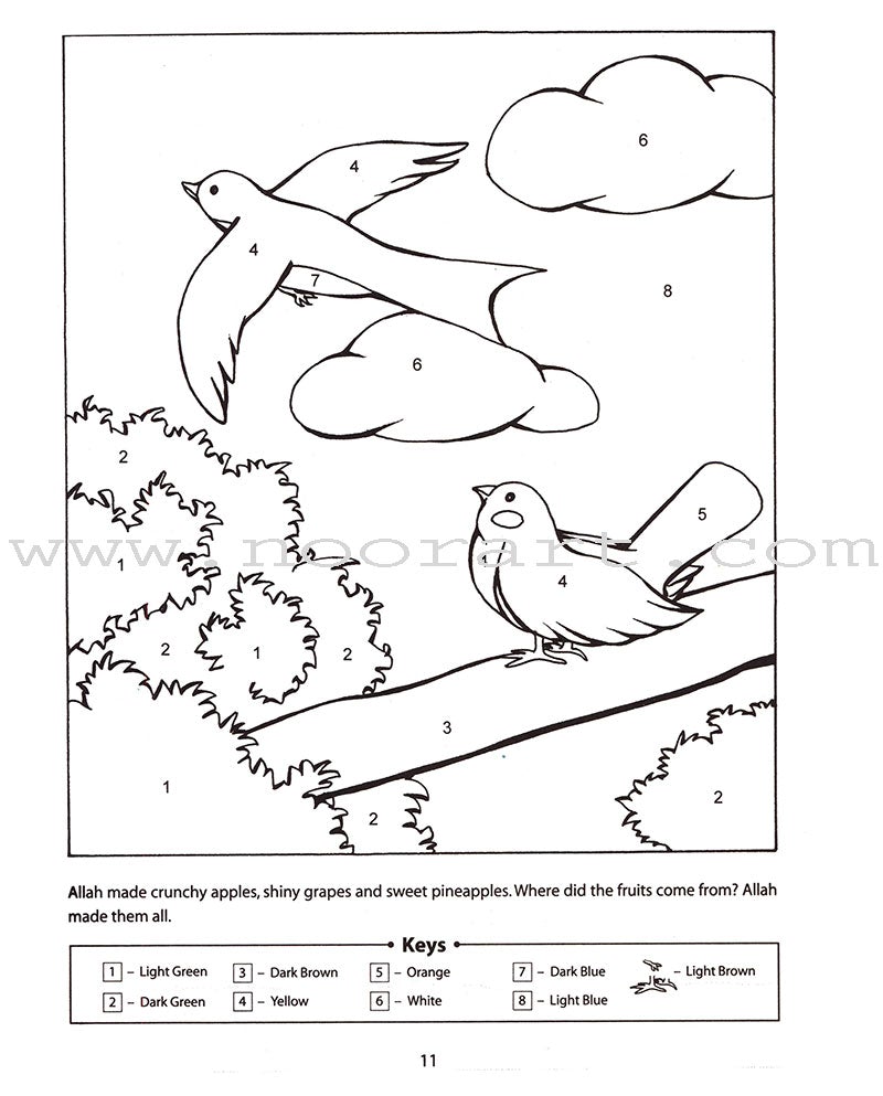 Quran and Sirah Story Mazes Gift Box (5 Books)