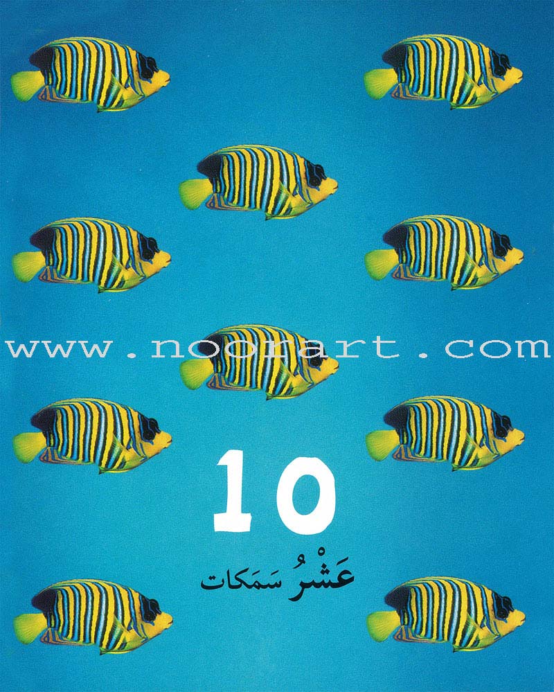 Numbers, Colors, and Shapes الأرقام والألوان والأشكال