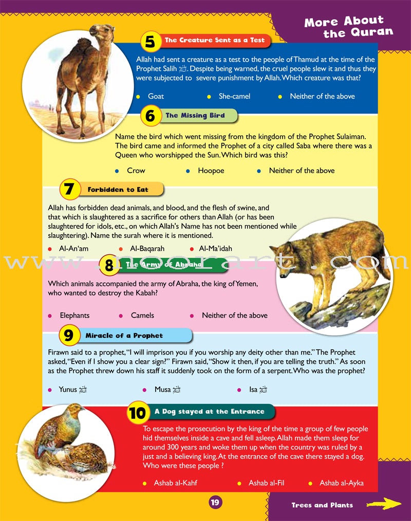 Awesome Quran Questions and Answers (Paperback)