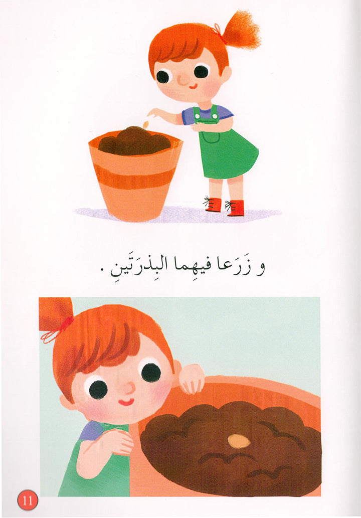 Graded Reading Series - Red Group: Level 2 (set of 5 Books) سلسلة القراءة المتدرجة مجموعة اللون الأحمر