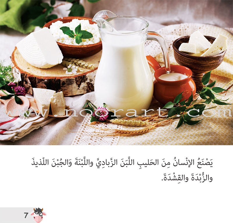 Let's Read and Discover Series (set of 5 books) سلسلة هيا نقرأ ونكتشف